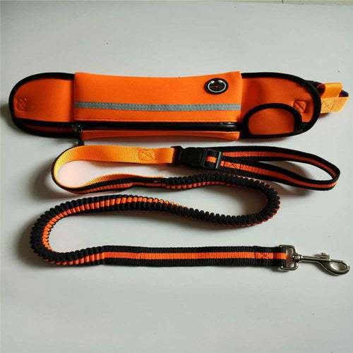 Running lead