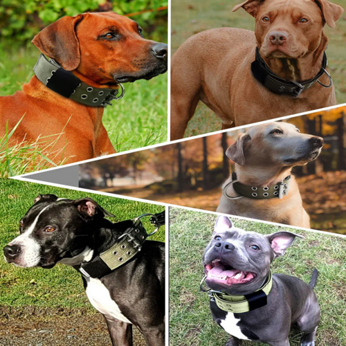 TUFF DOG 2" Wide Tactical Heavy Duty Dog collar
