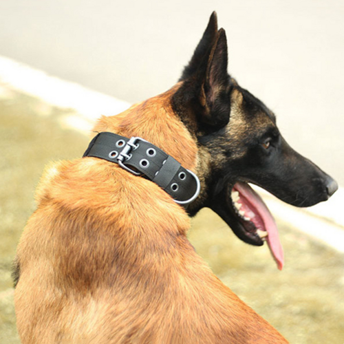 TUFF DOG 2" Wide Tactical Heavy Duty Dog collar