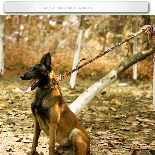 TUFF DOG 2" Wide Tactical Heavy Duty Dog collar