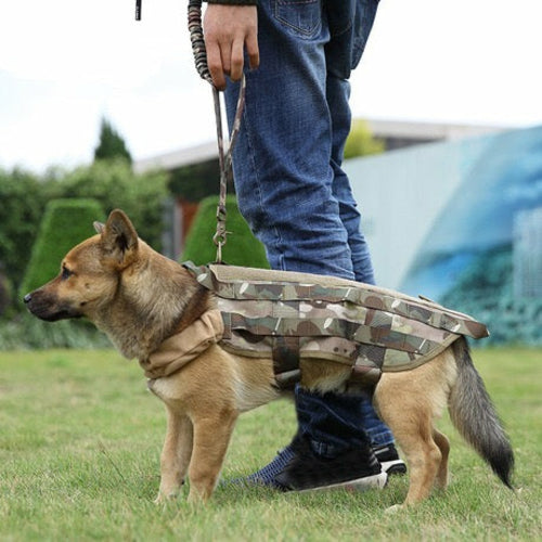TUFF DOG tactical lead