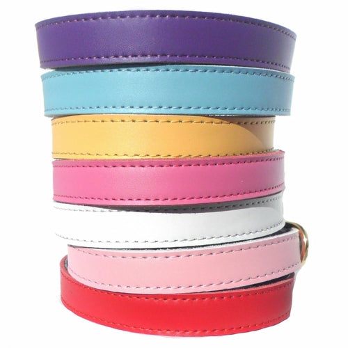 Premium Leather Dog Collars (4 sizes xs-L)