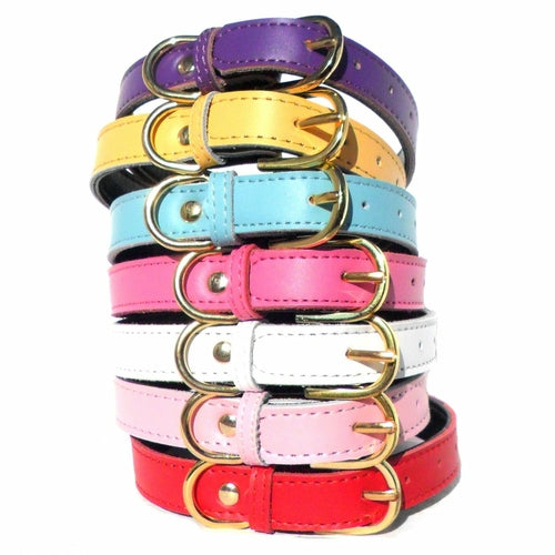 Premium Leather Dog Collars (4 sizes xs-L)