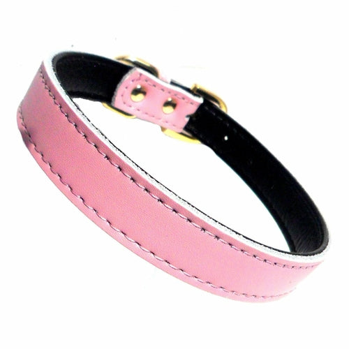 Premium Leather Dog Collars (4 sizes xs-L)