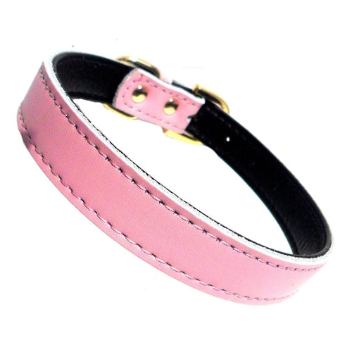 Premium Leather Dog Collars (4 sizes xs-L)