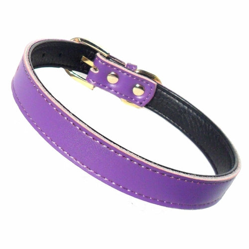 Premium Leather Dog Collars (4 sizes xs-L)