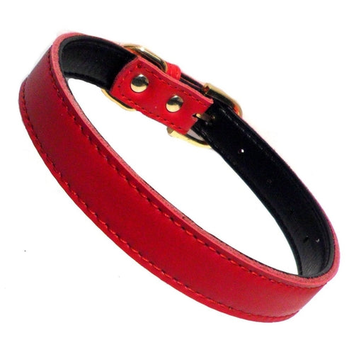 Premium Leather Dog Collars (4 sizes xs-L)