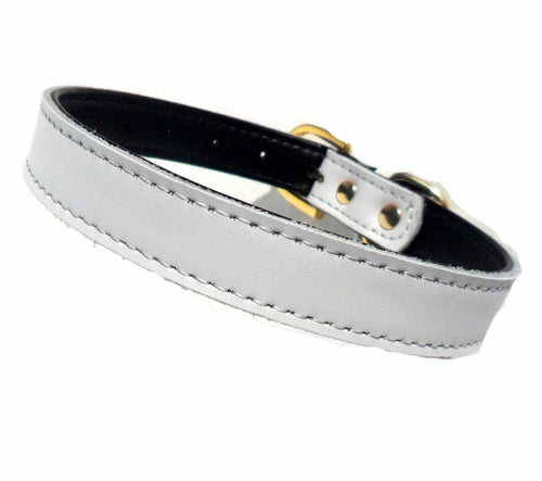 Premium Leather Dog Collars (4 sizes xs-L)