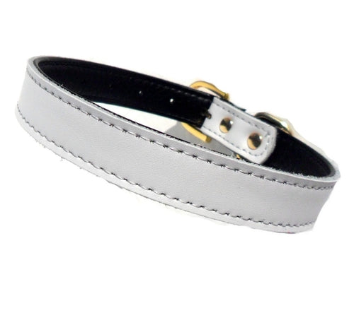 Premium Leather Dog Collars (4 sizes xs-L)