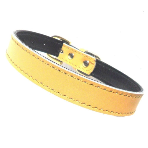 Premium Leather Dog Collars (4 sizes xs-L)