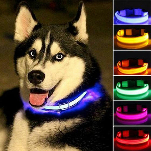 2 PCS BLUE GLOWING DOG SAFETY COLLAR