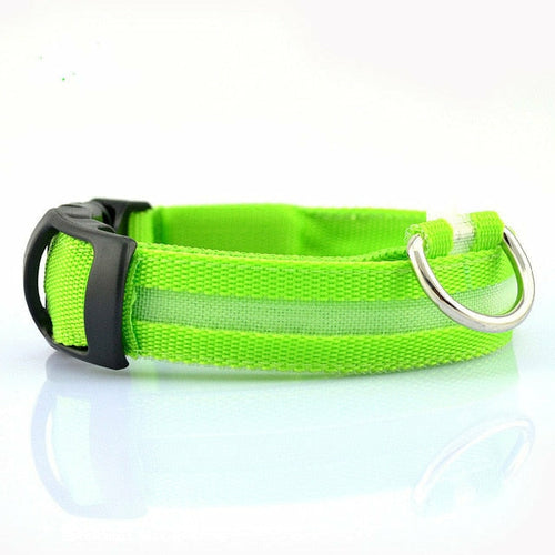 2 PCS BLUE GLOWING DOG SAFETY COLLAR