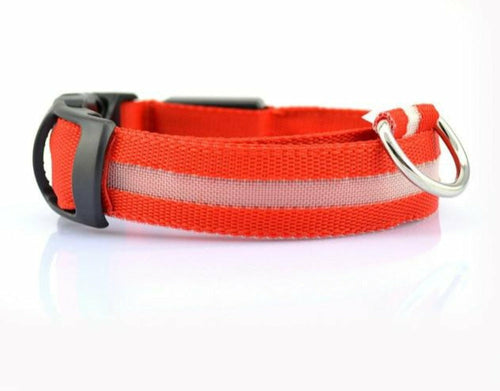 2 PCS BLUE GLOWING DOG SAFETY COLLAR