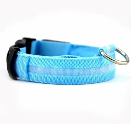 2 PCS BLUE GLOWING DOG SAFETY COLLAR