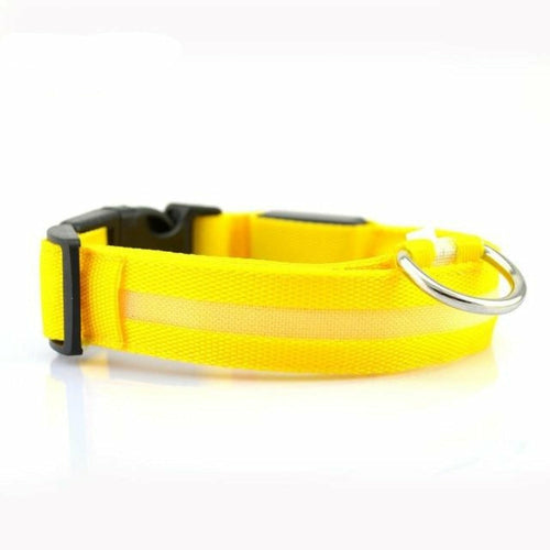 2 PCS BLUE GLOWING DOG SAFETY COLLAR