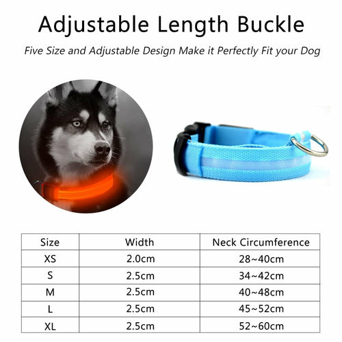 2 PCS BLUE GLOWING DOG SAFETY COLLAR